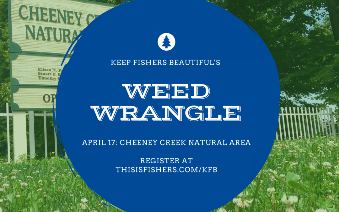 Weed Wrangle: Cheeney Creek Natural Area