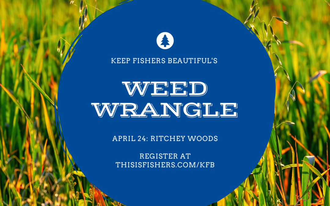 Weed Wrangle: Ritchey Woods Nature Preserve